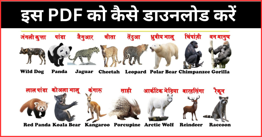 Animals Name In Hindi And English PDF Download