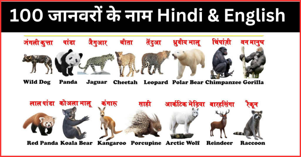 Animals Name In Hindi And English PDF Download